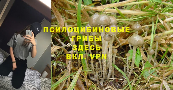 спайс Богородицк